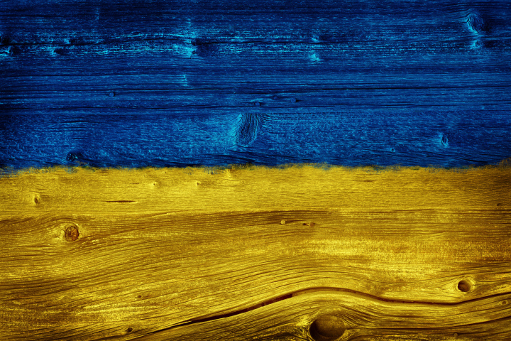 Flaga Ukraińska Na Drewnie