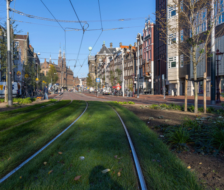 Amsterdam, trawiaste torowisko dla tramwajów