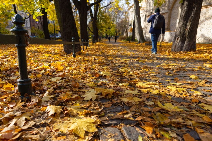 Jesień na Plantach w Krakowie