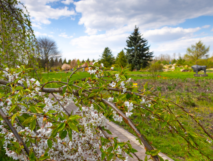Ogród Botaniczny w Powsinie